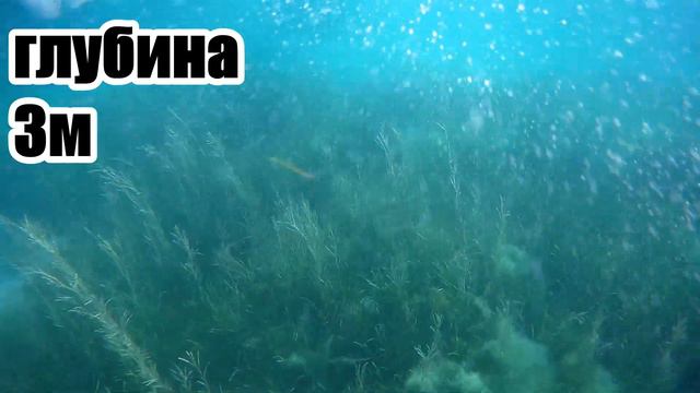 Ловля крабов в Черном море скаты!!!. смотреть онлайн