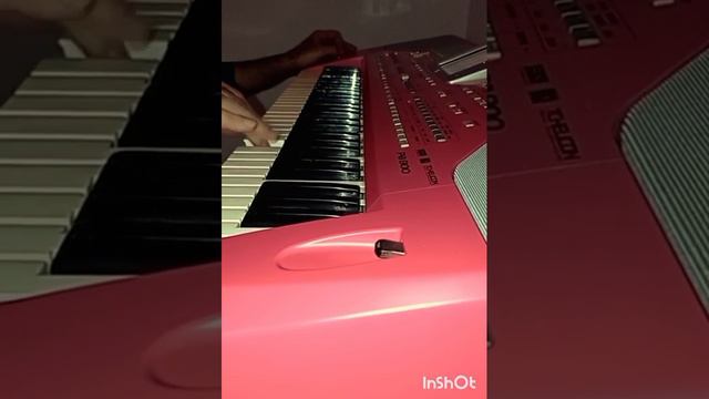 Korg Pa800 18 noyabr 2022 смотреть онлайн