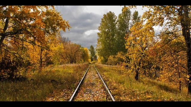 Н Некрасов Славная осень! #стихиобосени #поэты19века смотреть онлайн