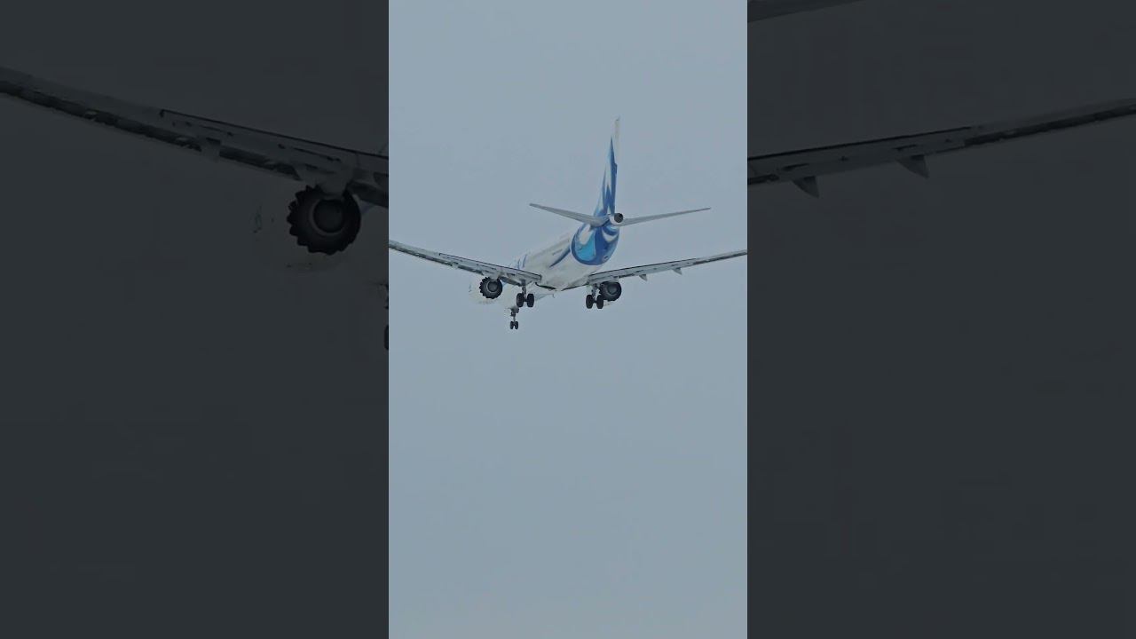 Boeing 737 max 8 #short #shorts #boeing #737max8 смотреть онлайн