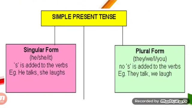 Grade 3 | English Grammar |Topic: Simple Present Tense (Part B) смотреть онлайн