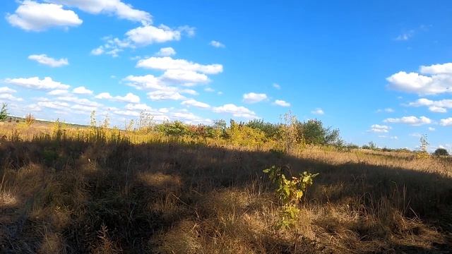 10 лучших способов сделать вашу женщину счастливой. смотреть онлайн