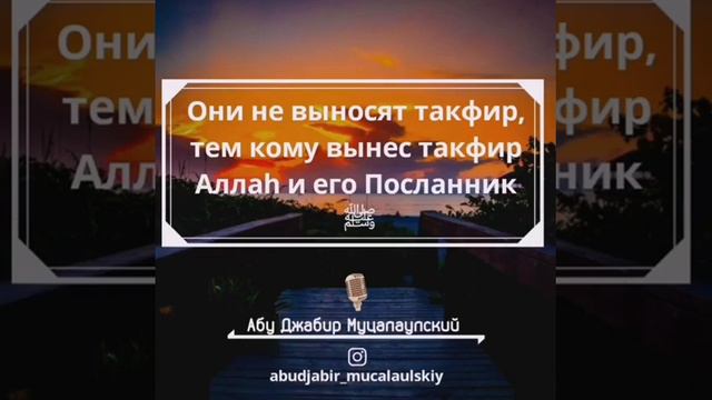 Саидахмад муцалаулский смотреть онлайн