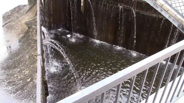 Буки. Ландшафтный парк. Landscape Park "Buki". смотреть онлайн