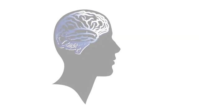 Security cameras with Digital Noise Reduction - Lorex 700 TVL bullet cameras смотреть онлайн