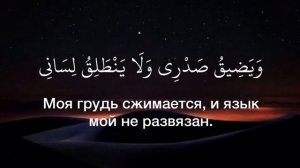 Махди аш Шишани красивое чтение Корана