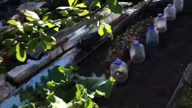 SOS! ст.СПУТНИК ТОНЕТ, НАЧАЛО АПОКАЛИПСИСА?! смотреть онлайн