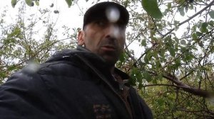 Репортаж из гнезда вороны. 03-15 мая 2016 г.