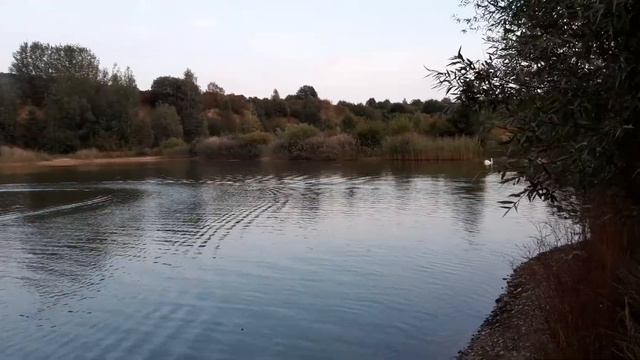 Игрушка для детей и взрослых.Типа " Леша давай ! " 🤭😁 https://youtu.be/kEejUiGIonc смотреть онлайн