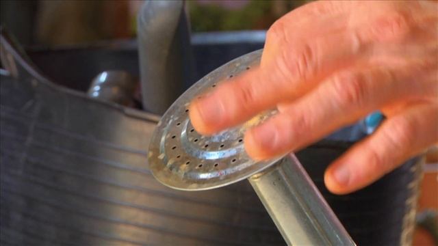 The Gardener: Must-Have Gardening Tools смотреть онлайн