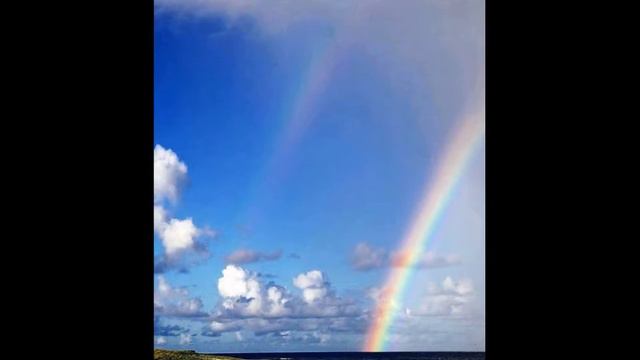 SDCF 02 02 2003 Rev Robert Morgan, tape 190, Sermon, Self Denial The Key to Sweetness смотреть онлайн