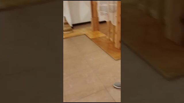 природа и человек 88 царицыно хлебный дом в москве 4 смотреть онлайн