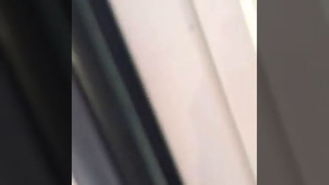 Дикие быки прошли по горнолыжному курорту смотреть онлайн