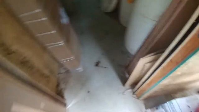 Soaking white oak cookies in drum of Pentacryl смотреть онлайн