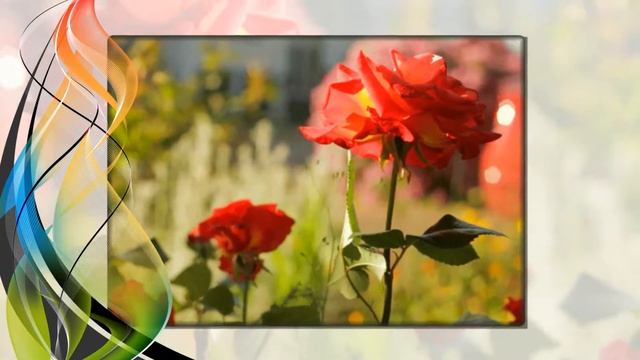 Желаю улётного настроения и тепла вашему дому! смотреть онлайн