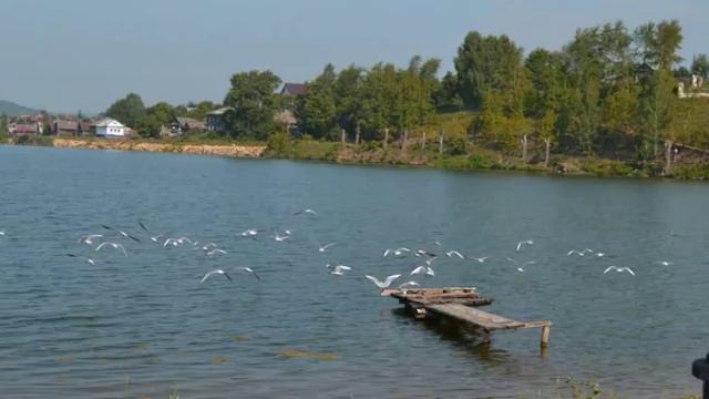 Суксунский пруд смотреть онлайн