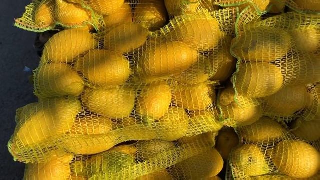 Купим мешок ? ?Лимонов? ? смотреть онлайн