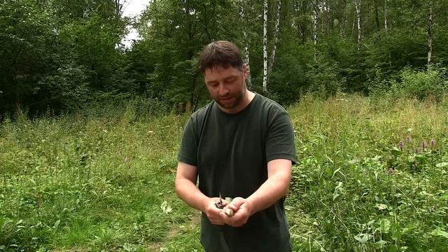 Мобильная коптилка, копчение голавля смотреть онлайн