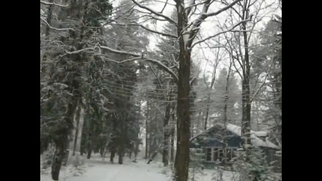 Бывший пионерский лагерь им. А.С.Потапова смотреть онлайн