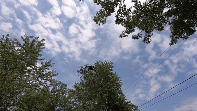 Dji Ryze Tello WIND TEST 💨 RC Drone flight review смотреть онлайн