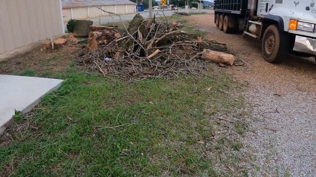 "Fast and Efficient Tree Job: Last Minute Before Vacation!" смотреть онлайн