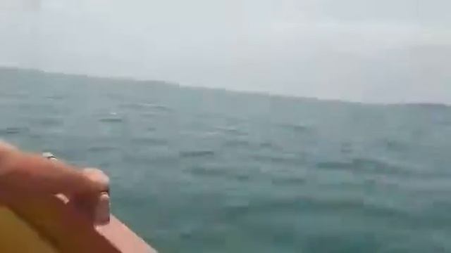 Катание на лодке смотреть онлайн