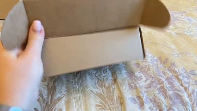 Французский бульдог Краля распаковывает посылку Фреуль смотреть онлайн