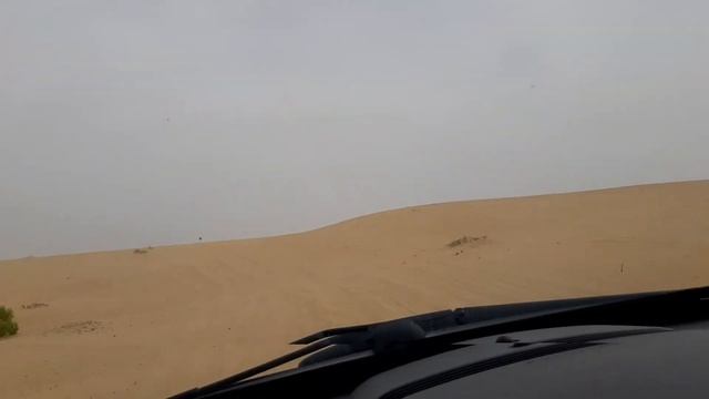 Ford Expedition Gulf News Fun Drive смотреть онлайн