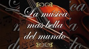 Six Musical Moments Op. 94, D 780: III. Allegro moderato in F Minor