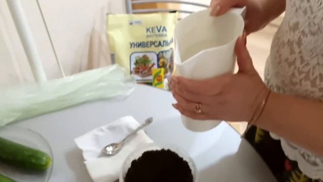 Посадка #2 Как правильно сажать огурцы?! смотреть онлайн