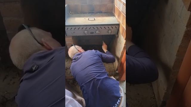 Snake on the Barbie? Python Found Lurking in Barbecue at Queensland Home смотреть онлайн