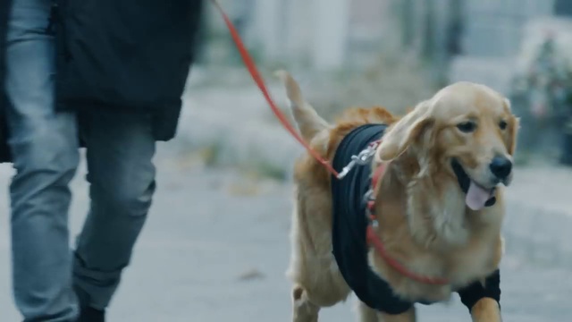 Tan Tasci - Dur (prevod) (lyrics) смотреть онлайн