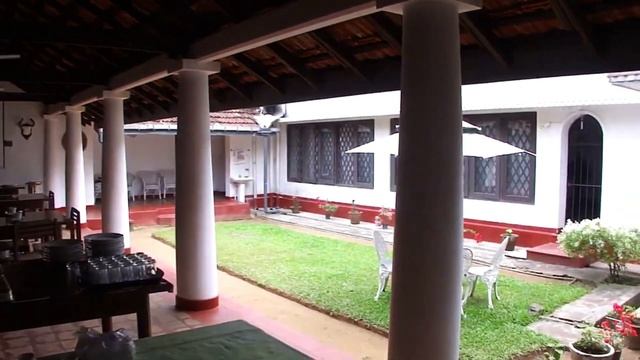 Купание слонов, летучие лисицы, ботанический сад, Шри Ланка / Sri Lanka смотреть онлайн