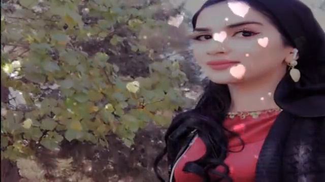 💗 Шух Терма Энг Янги Хит Туйбоб Кушиклар Уйинбоб енг сара кушиклар 💗