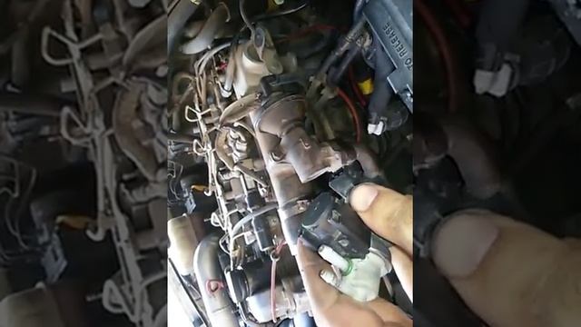 Rexton Vacuum Modulators смотреть онлайн