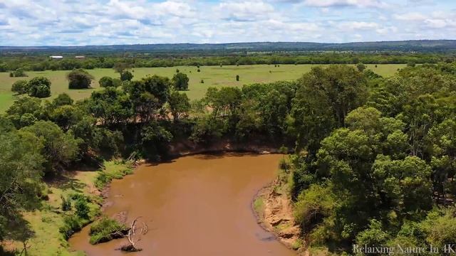 Africa Wildlife In 4K ULTRA HD - Scenic Wildlife Film With Calming Music - 2HRS