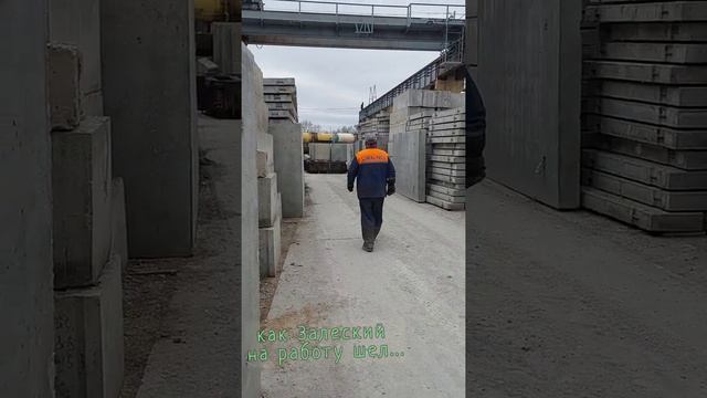"как Залеский" на работу шёл... смотреть онлайн