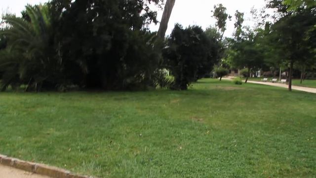 Крики попугаев в парке Цитадель, Испания, Барселона смотреть онлайн