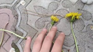 первая часть как научиться плести венок