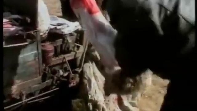 Земляне фильм расказывающий о пути мяса к вам на стол смотреть онлайн