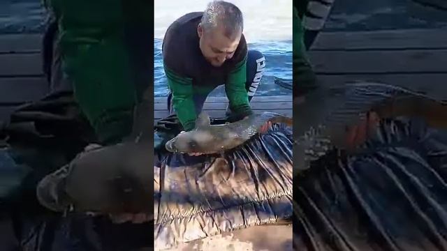 Клёвая рыбалка в Новой Казанковке 2 смотреть онлайн