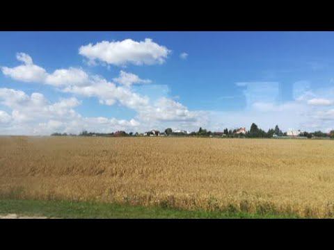 Зарайск. "Русь моя" - Гриша Петров и Игорь Кибирев смотреть онлайн