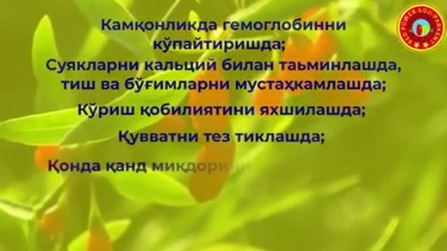 Ягоди Годжи Тошкент Паркентда экилаябди Годжи есанг узок яшайсан.Годжи эксанг бой яшайсан смотреть онлайн
