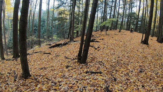 GH017152 смотреть онлайн