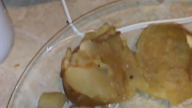 Мастер-класс кулинарии: "Кварк" или "Ударим нанотехнологией по кулинарной безграмотности". смотреть онлайн