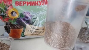 Вермикулит: как правильно использовать его для рассады
