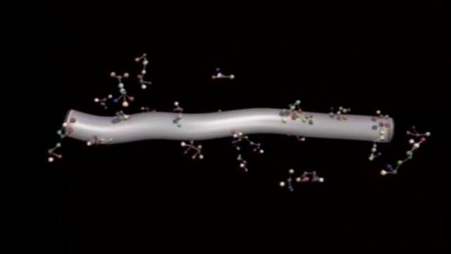 Сотворение или Эволюция (1998) смотреть онлайн