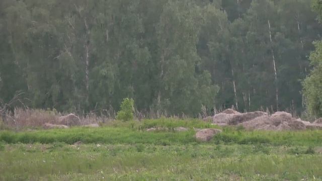 XP DEUS День советов и зачетные находки!!! смотреть онлайн