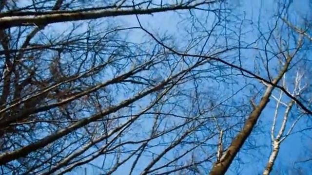 Плывут туманы белые смотреть онлайн