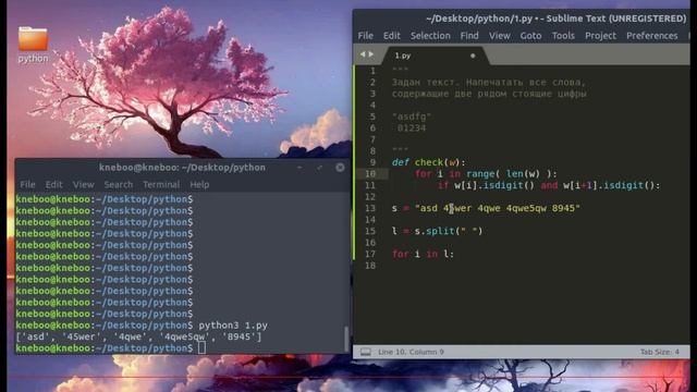 Python | Мәтінге байланысты есеп талдау | Напечатать все слова, содержащие две рядом стоящие цифры. смотреть онлайн